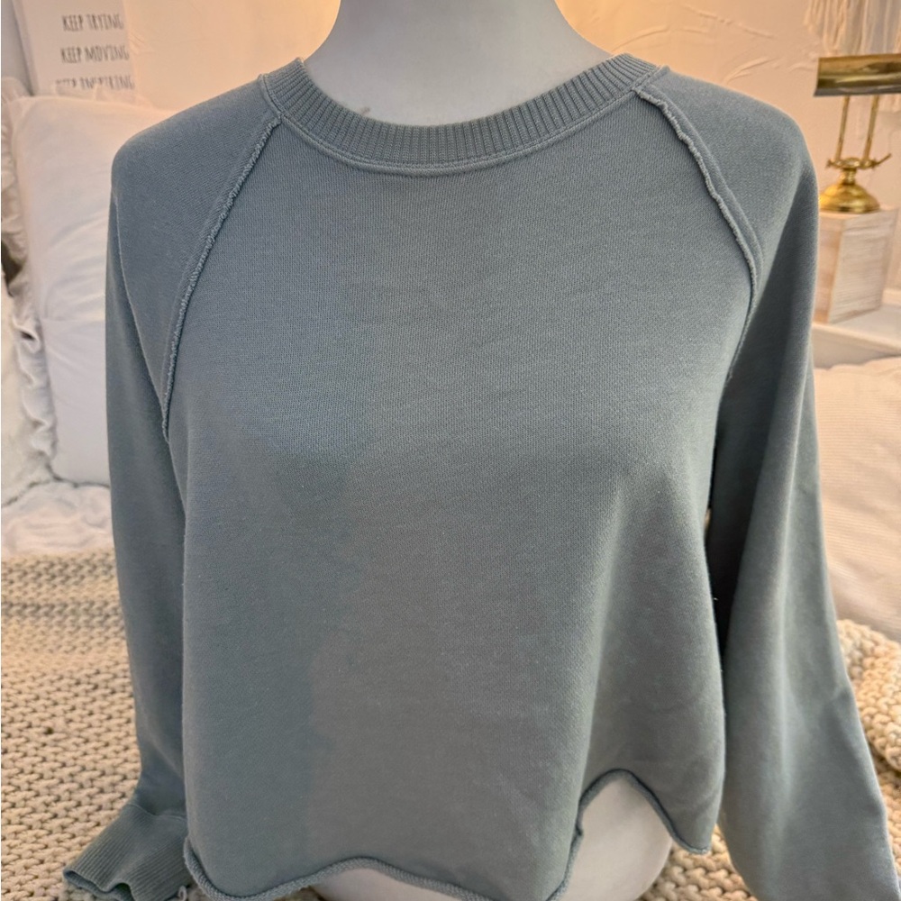 Aerie Light green cropped Knit Top